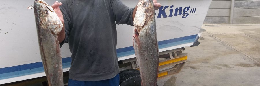 Skipper Martin Otto by â€˜n paar mooi geelbekke wat vanaf sy boot C-King gevang is.
